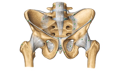 Treatments of the hip